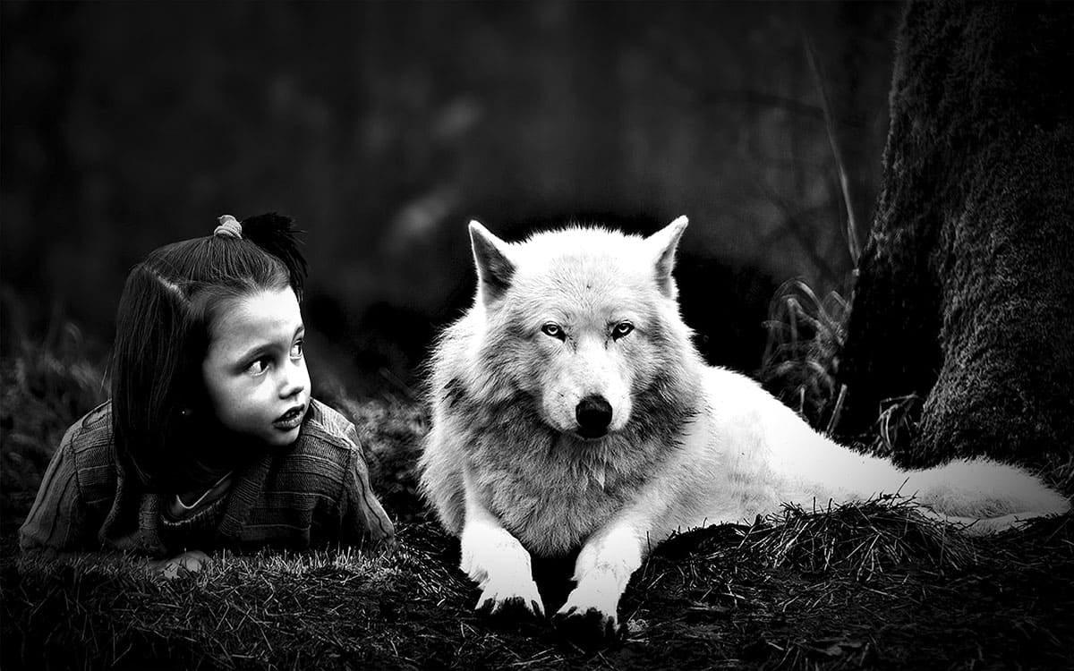 Fotocomposición de niña en el bosque mirando a loba