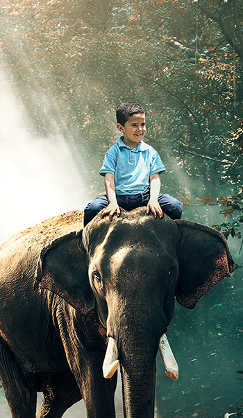 Fotografía creativa niño montado en elefante