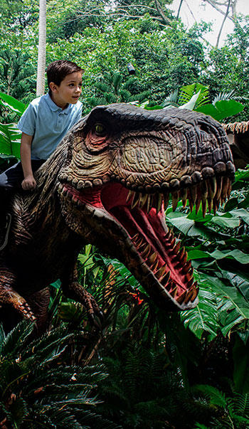 Fotografía creativa niño montado en rex