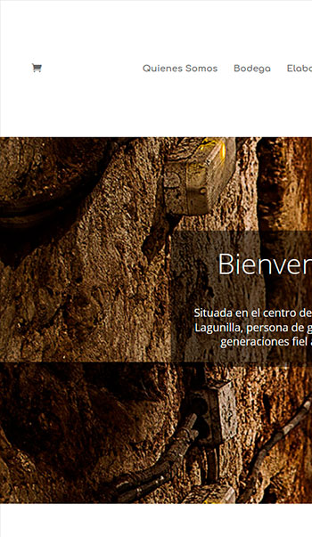 Diseño y programación de página web para bodega