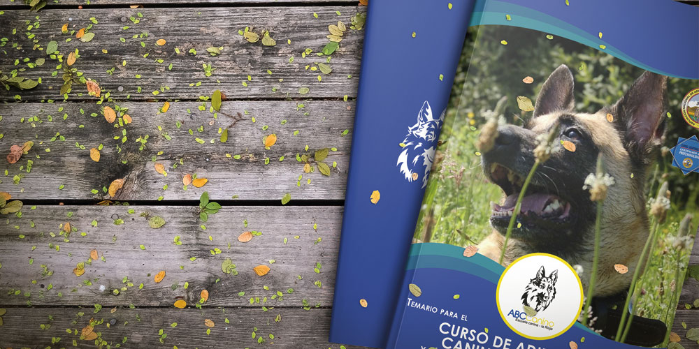 Catálogos, manuales, Folletos y Flyers