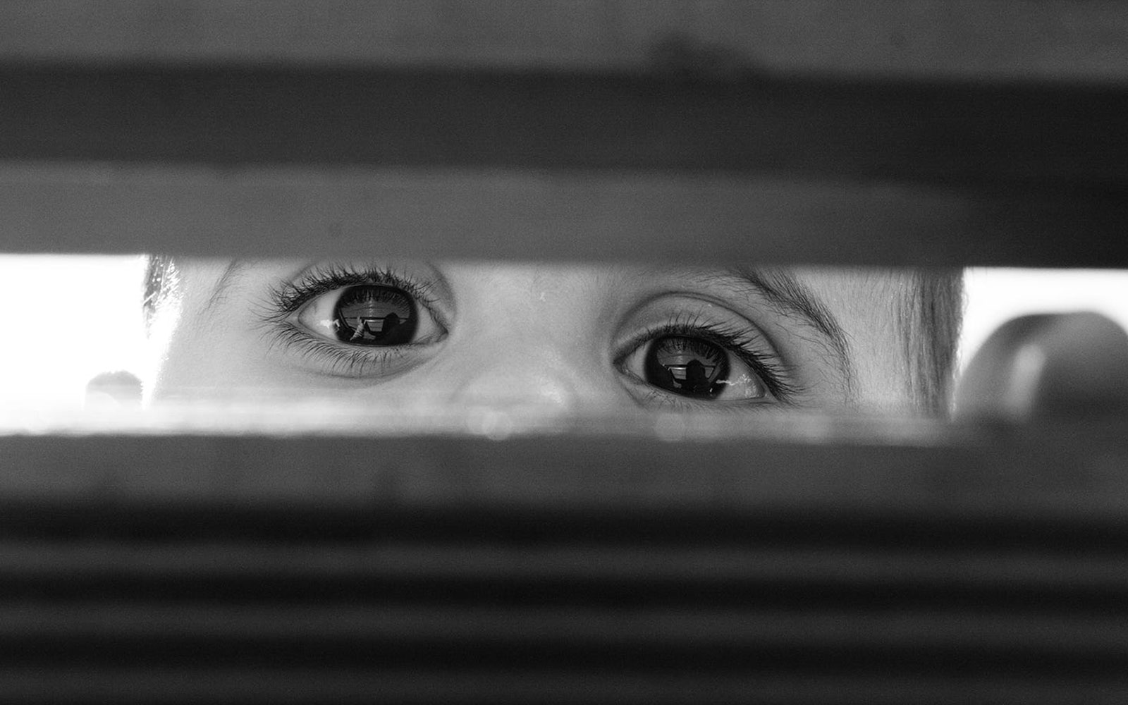 La fotografía es el arte de capturar momentos para siempre